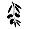 Olive branch Olive branch