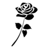 Rose Rose
